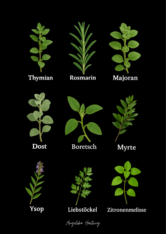 Kräuter Poster PDF – Botanische Küchenkräuter Illustration zum Ausdrucken | A3 & A4 | Printable Angelika Hartwig