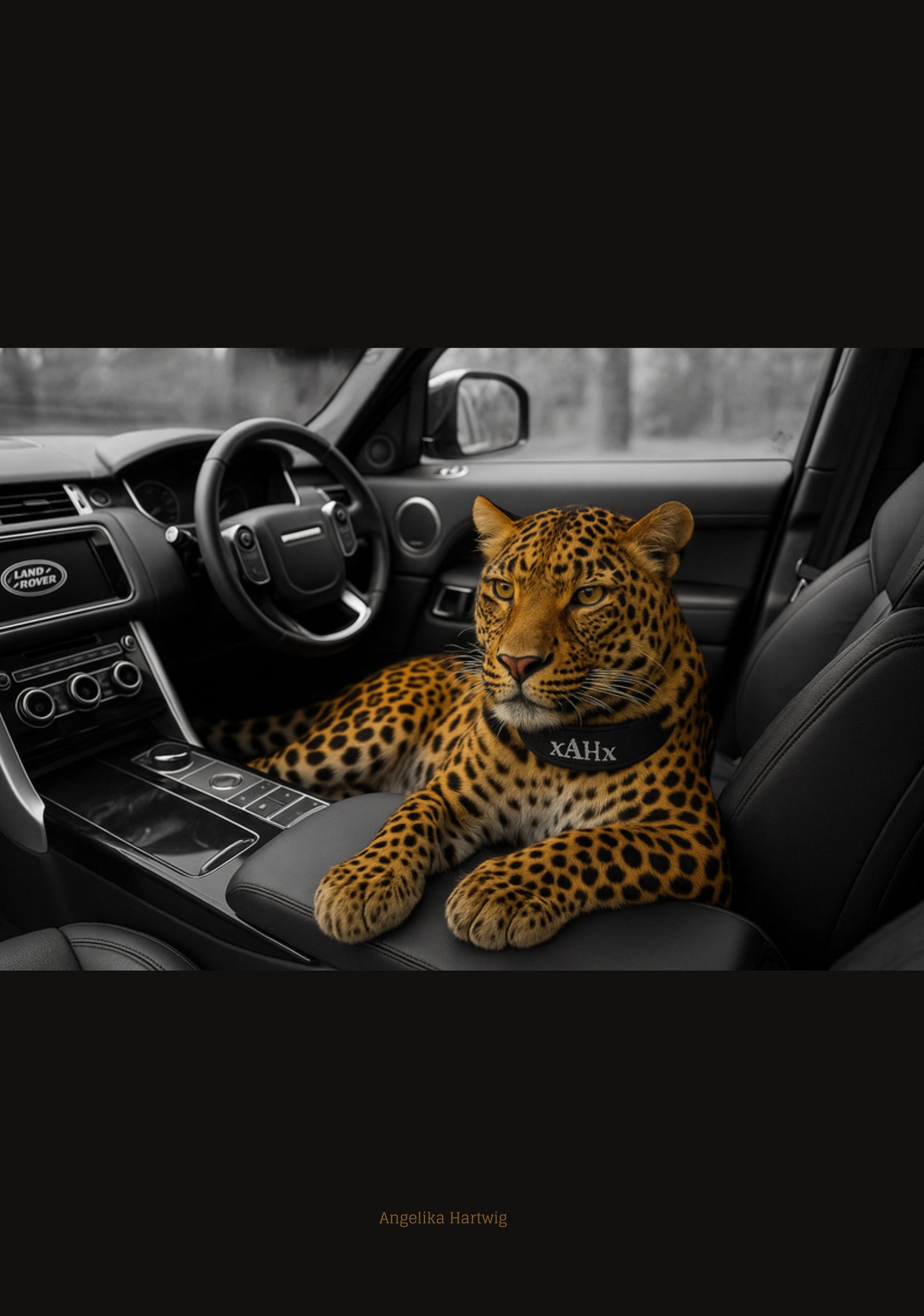 Leopard Luxury Poster | xAHx Art Print | Schwarz-Weiß Premium Design mit Farb-Akzent | A1 (59,4 × 84,1 cm) & A4 Wandbild
