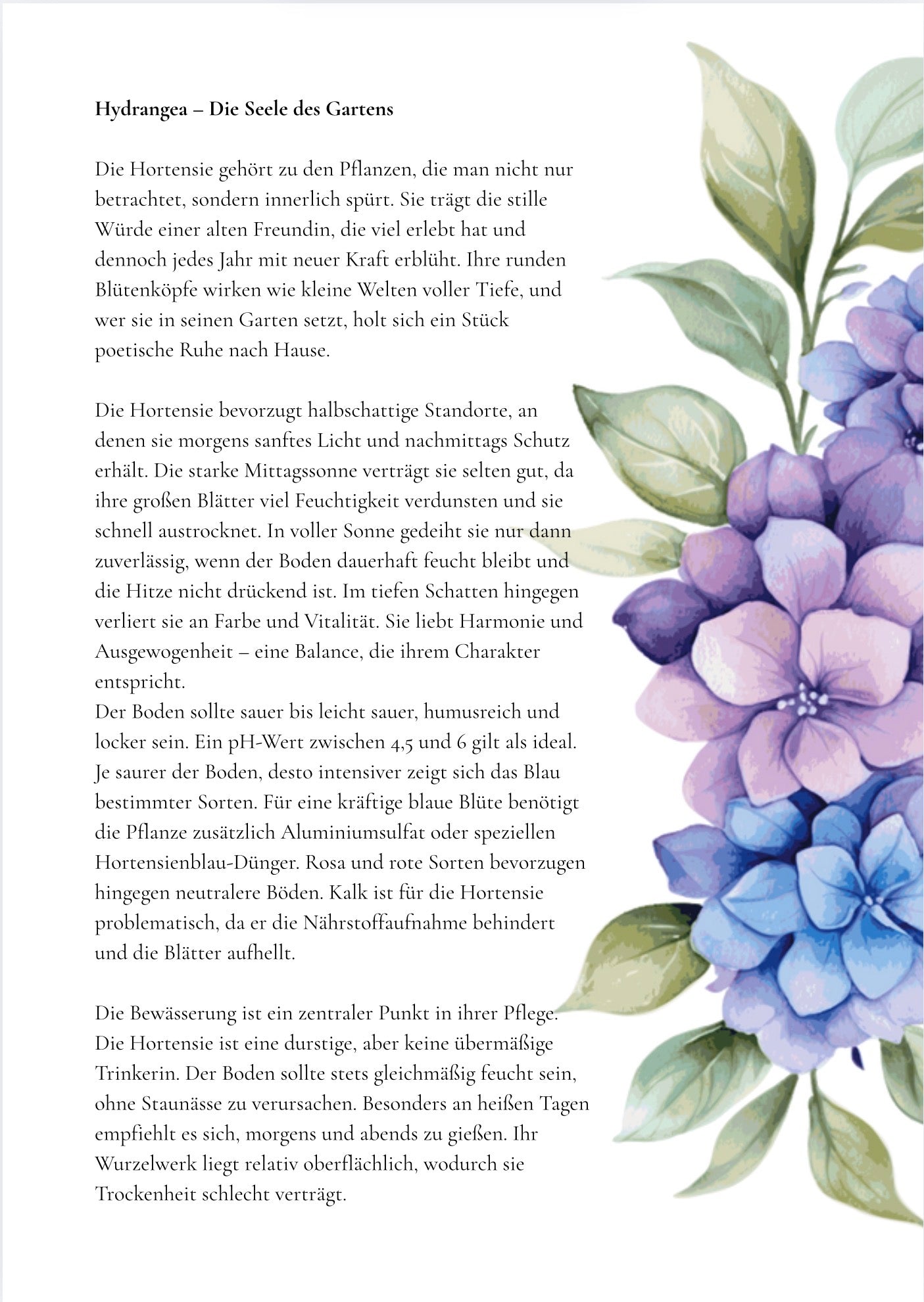 E - Books, Die Sprache der Blumen – Psychologie, Symbolik und Energie der beliebtesten Blumen | PDF A4, sofort download, perfekt zum Lesen, Ausdrucken oder Verschenken